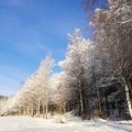 Три веских повода побывать в Челябинской области зимой