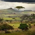 Как бесплатно насладиться отдыхом в Эфиопии с программой Стоповер от Ethiopian Airlines