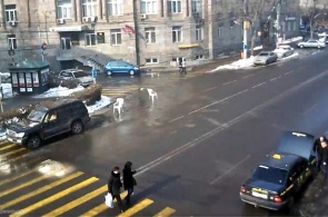 Улица Тигран Меца. Веб камеры Еревана онлайн