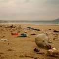 Популярные пляжи Бали превратились в настоящие мусорные свалки