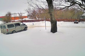 Улица 1 мая. Вековой дуб. Веб-камеры Вязники онлайн