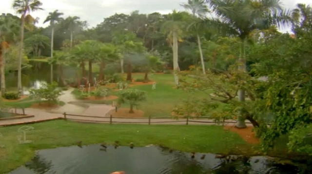  Сарасота Джунгли садов веб камера онлайн