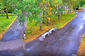 Парк Майский на Галушина. Веб-камеры Архангельска