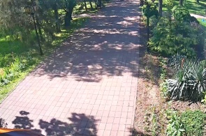 Центральный парк. Веб-камеры Георгиевска онлайн