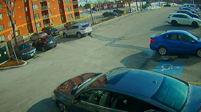 Парковка в спальном районе. Веб камеры Оттавы онлайн